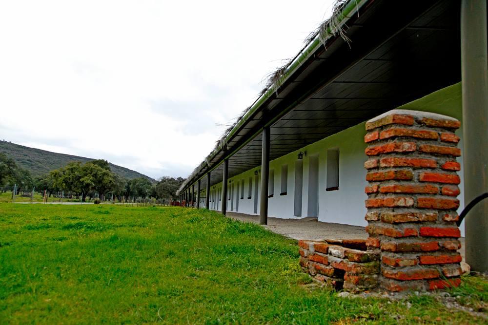 Hotel Rural Puerta De Monfrague Villarreal de San Carlos Exterior photo